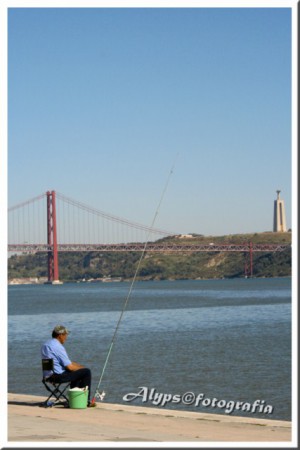 Pesca no Tejo